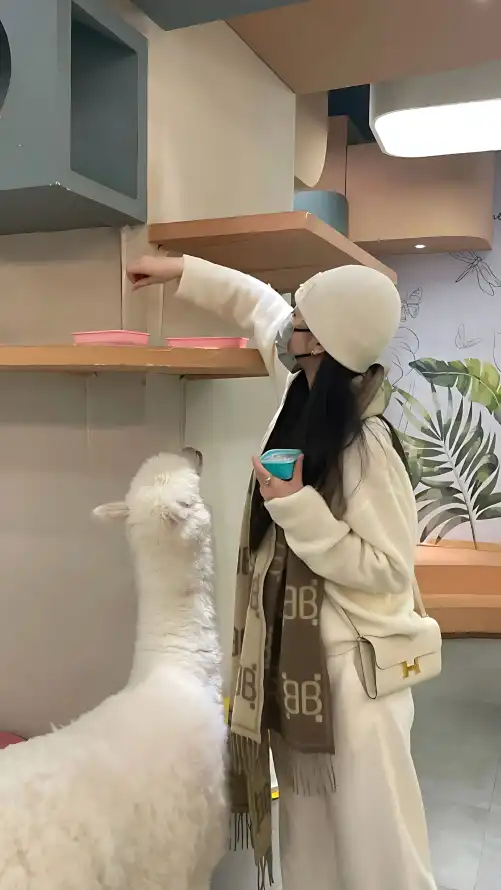 被窝电影网午夜伦电影_亚洲国产精品无码久久青草_精品深夜寂寞黄网站